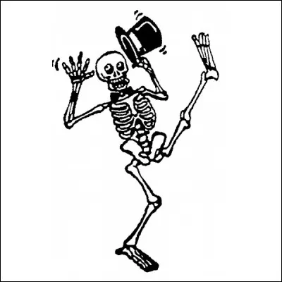 Quel os du corps humain est également appelé "scapula" ?