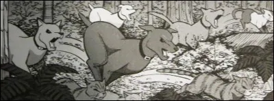 Une meute de chiens attaque ton camp. Que fais-tu ?