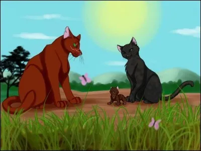 Tu rencontres un chat errant qui te dit qu'il veut rejoindre les clans. Que fais-tu ?