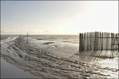 Ça peut sentir mauvais... vous compenserez avec quelques fleurs ! 
Voyez-vous s'il pleut ?