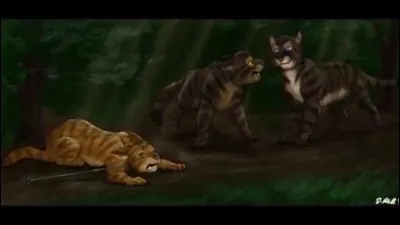 Plume de Faucon obéit au plan de son père, il doit aider son frère à tuer un chat, lequel ?