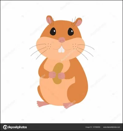 Qui est surnommé 10 : 10 ou hamster ?