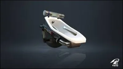 Quel est le nom de cette arme ?