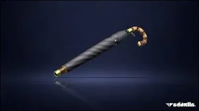 Quelle est cette arme ?