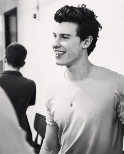 Quel est le sens de sa chanson ''In my Blood'' ?