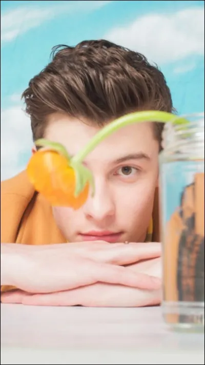 Comment s'appelle son doudou le lion ?