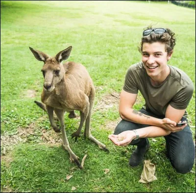 Avec quels artistes a-t-il collaboré pour son album ?