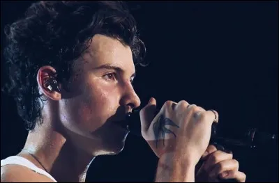 Avec qui y a-t-il eu des rumeurs de couple (2017-2018), alors que c'était faux ?