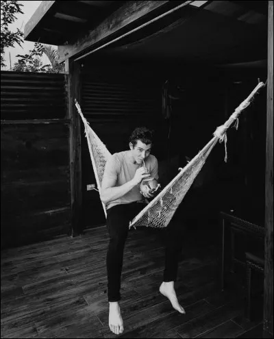 Comment s'appelle sa tournée de 2017 ?