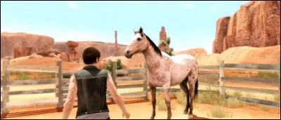 Comment s'appelle le cheval ?