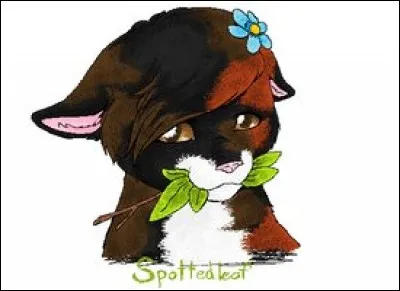 Qui est Petite Feuille ?