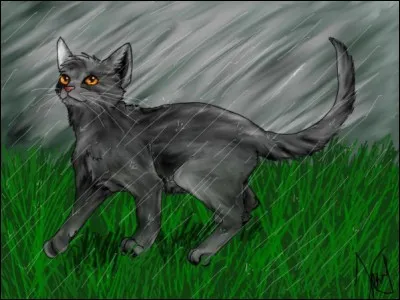 Quel est le nom de guerrier de Nuage Gris ?