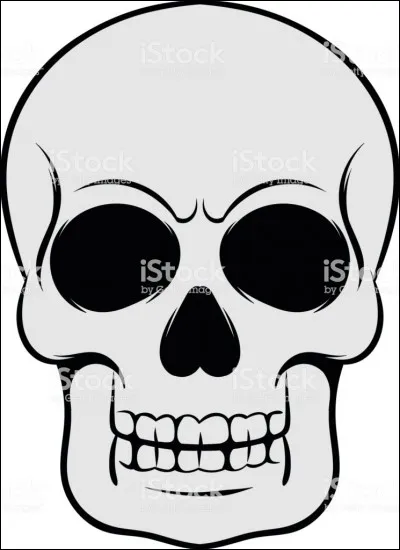 Qui a créé Halloween ?