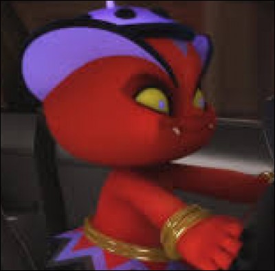 Qui sont les Sapotis ?