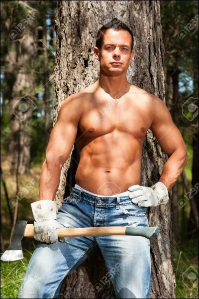 Qui se charge de l'abattage des arbres ?