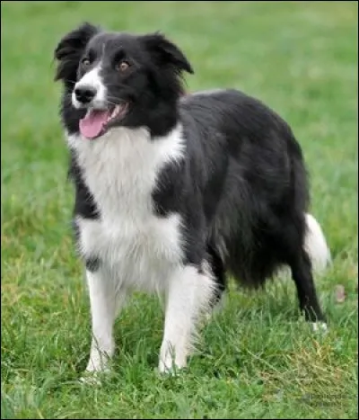 Et ça, qu'est-ce que c'est ?