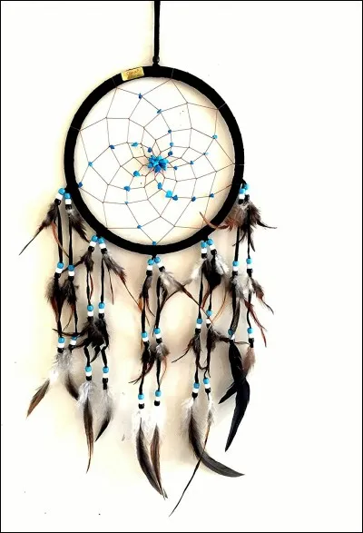 Tu dois mettre ''dreamcatcher'' au pluriel.