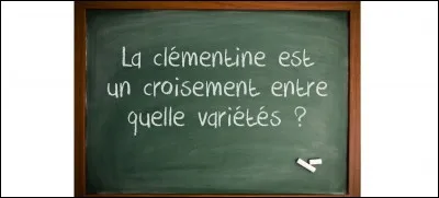 Faites votre choix !