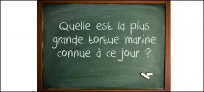 Faites votre choix !