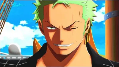 Les passe-temps favoris de Roronoa Zoro sont :