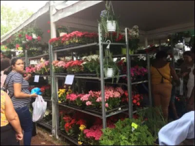 Quel est l'évènement culturel qui attire les Réunionnais chaque année ?