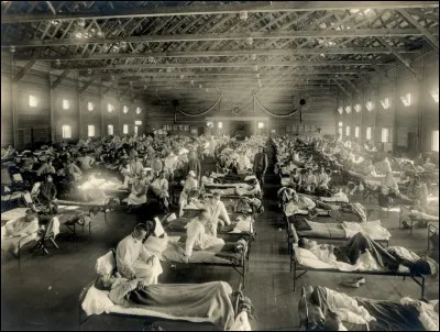 Quelle pandémie de 1918 a fait 50 millions de morts, et jusqu'à 100 millions selon certaines réévaluations ? Elle serait la pandémie la plus mortelle de l'histoire dans un laps de temps aussi court.