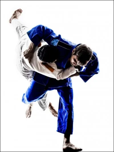 Quelle est cette prise ?