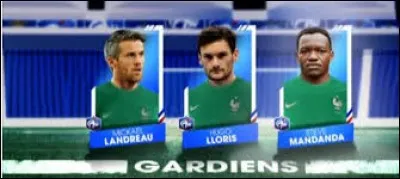 Qui était le gardien titulaire des Bleus pendant cette Coupe du monde ?
