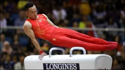 Quel cheval un gymnaste chevauche-t-il ?