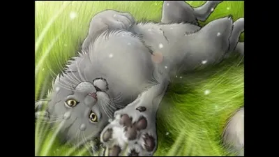 Dans le livre "Retour à l'état sauvage", Plume Grise est le premier chat que rencontre Rusty.