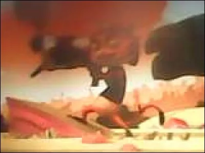 Lors de la zumba des potes, que fais Mr Chat?