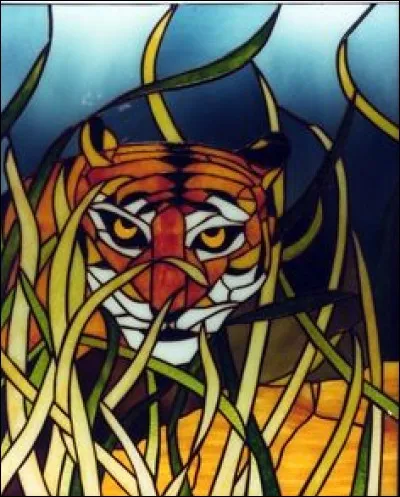 Le tigre est le plus grand félin sauvage :