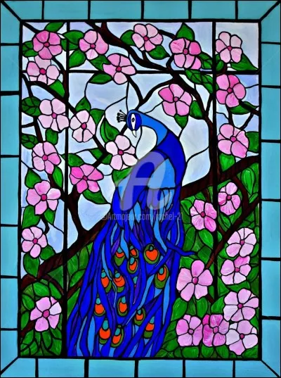 Que sont les ocelles chez le paon ?