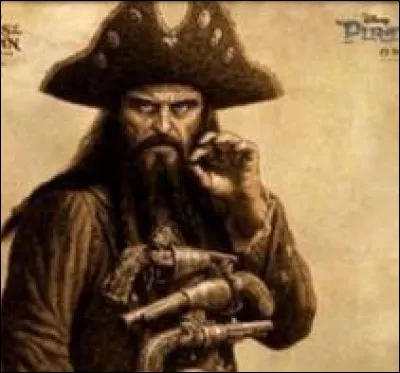 Ce pirate anglais a pillé de nombreux navires dans la mer des Caraïbes. Il portait une grosse barbe, un sabre d'abordage et six pistolets. C'est bien entendu...