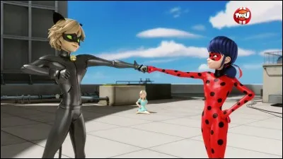 Comment s'appelle le garçon que Marinette aime ?