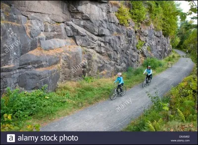 Il fait plus froid au pôle Nord qu'au pôle Sud :