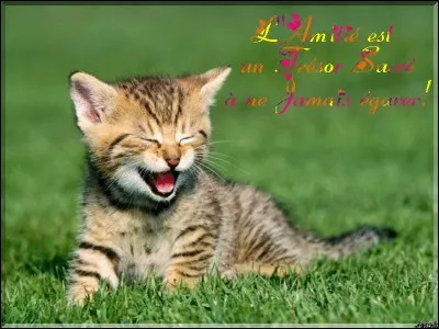 À tes yeux, quel est le plus beau des trésors ?