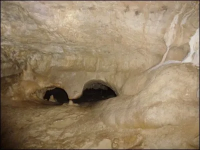 Quel guerrier est resté dans la Tribu de l'Eau Vive ?