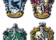 Test Dans quelle maison de 'Harry Potter' tes-vous ?