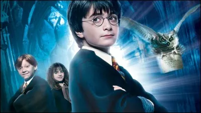 Quels sont les prénoms des enfants de Harry Potter ?