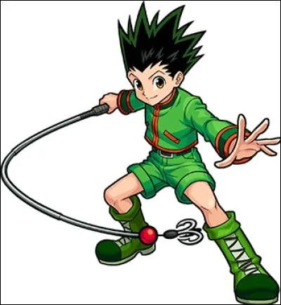 Quel est son pouvoir ?