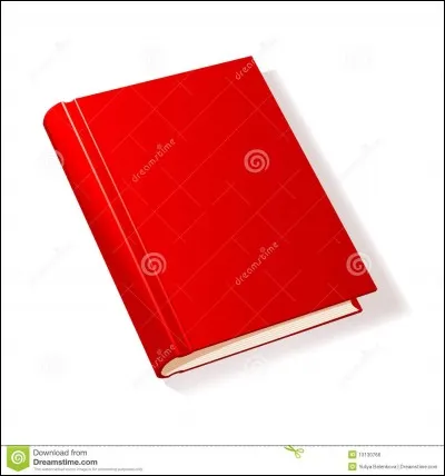 "Le Carnet rouge" est un livre de Paul Auster.