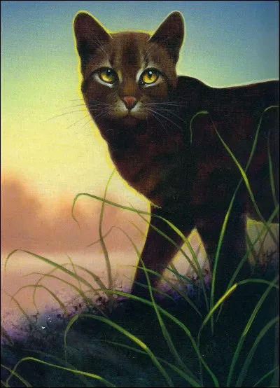 Qui est le frère d'Étoile Balafrée, et comment est-il mort ?