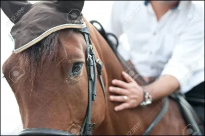 Quand tu tournes avec les deux rênes dans une main...