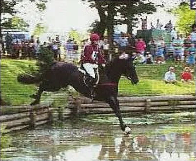 L'obstacle sur la photo ci-contre se nomme...