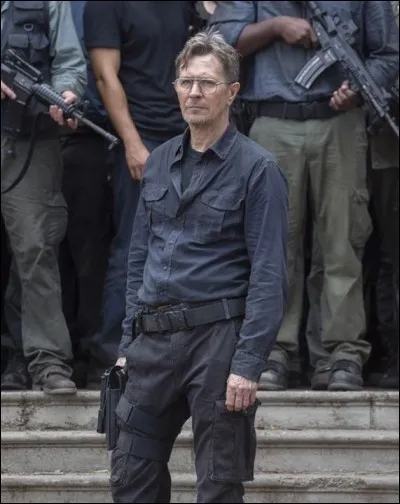 Dans quel film peut-on le voir ainsi ?