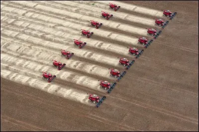 Cette photo vous évoque :