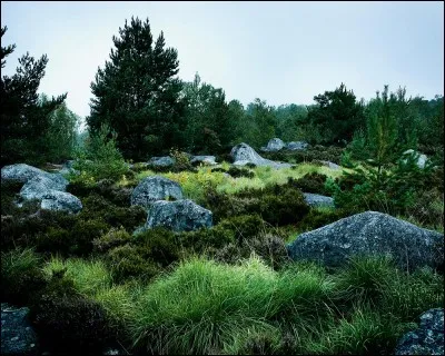Quel est ton endroit préféré ?