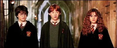 Au milieu du film, Harry entend des voix ! Mais à qui appartiennent ces voix ?