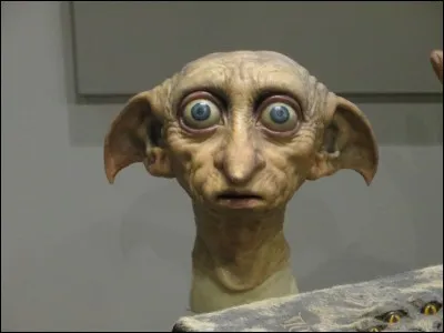 Qu'a donné Harry à Dobby qui était le serviteur de la famille Malefoy en signe de liberté ?